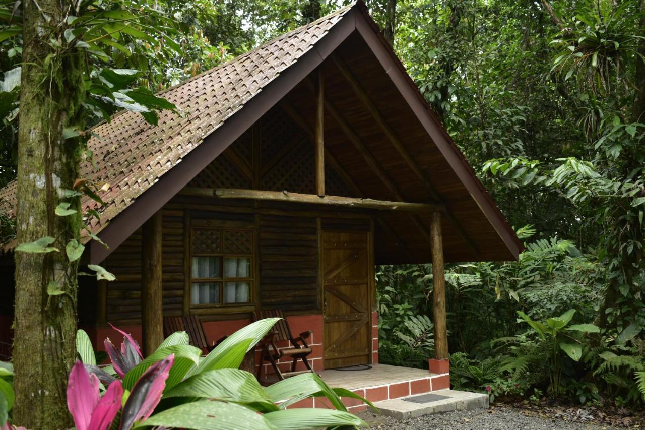 Arenal Oasis Eco Lodge & Wildlife Refuge La Fortuna Luaran gambar