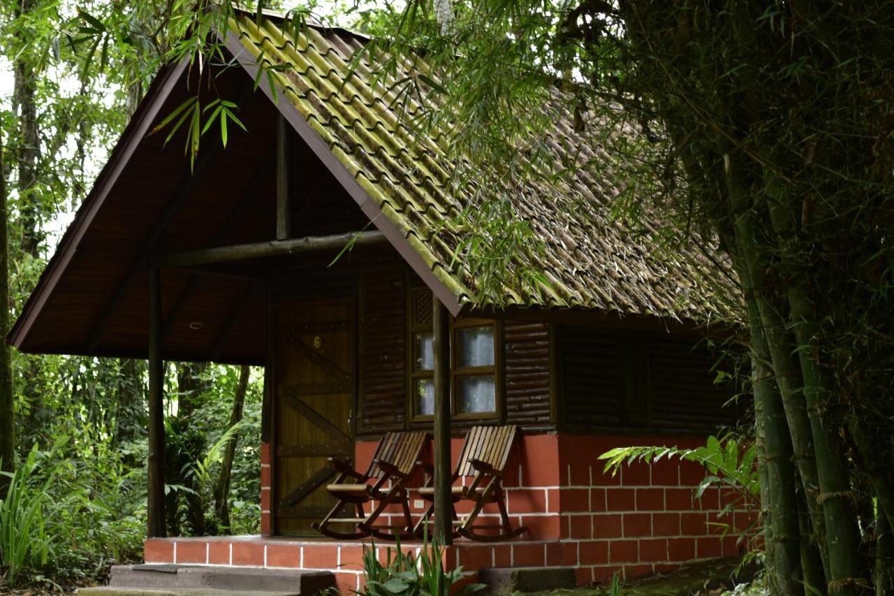 Arenal Oasis Eco Lodge & Wildlife Refuge La Fortuna Luaran gambar
