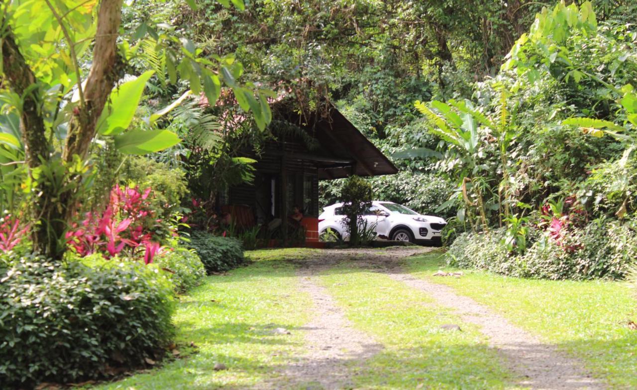 Arenal Oasis Eco Lodge & Wildlife Refuge La Fortuna Luaran gambar