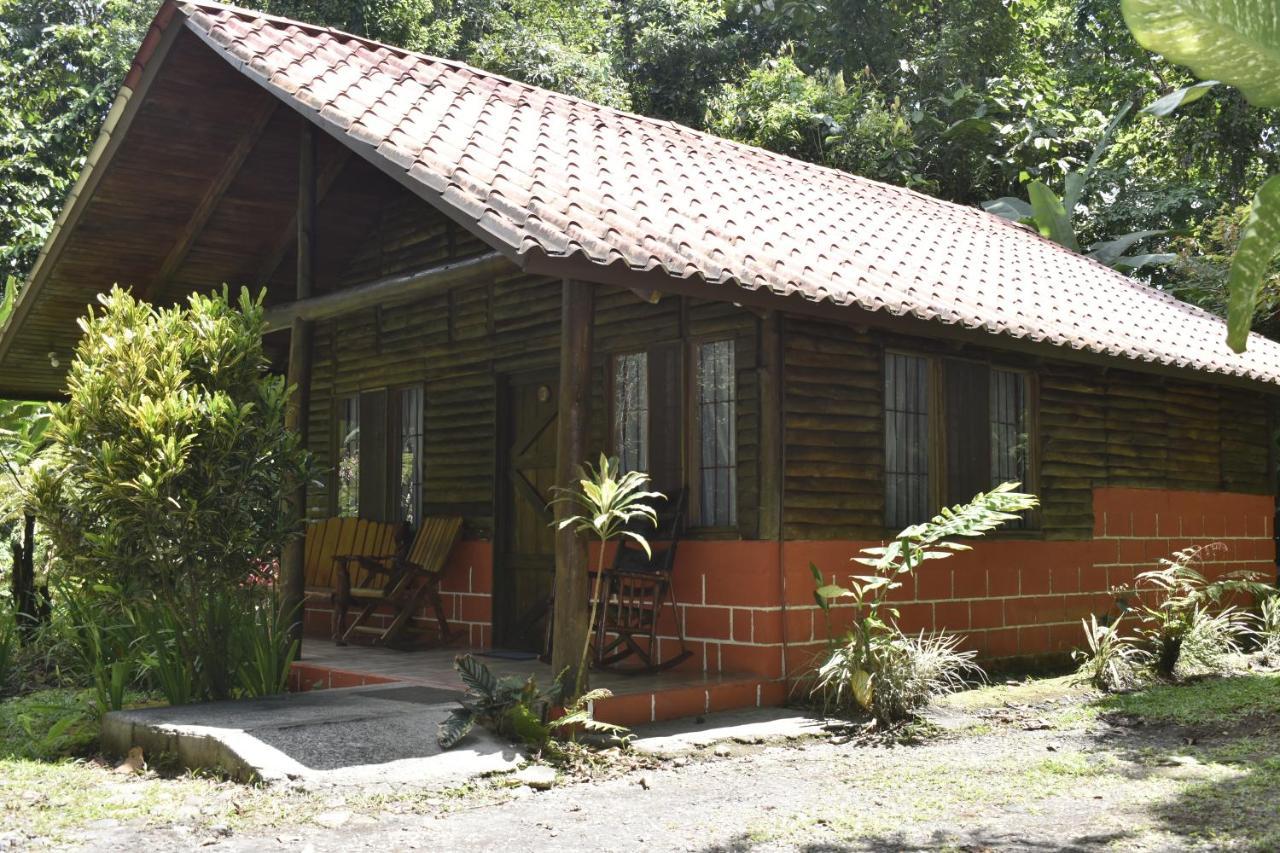 Arenal Oasis Eco Lodge & Wildlife Refuge La Fortuna Luaran gambar