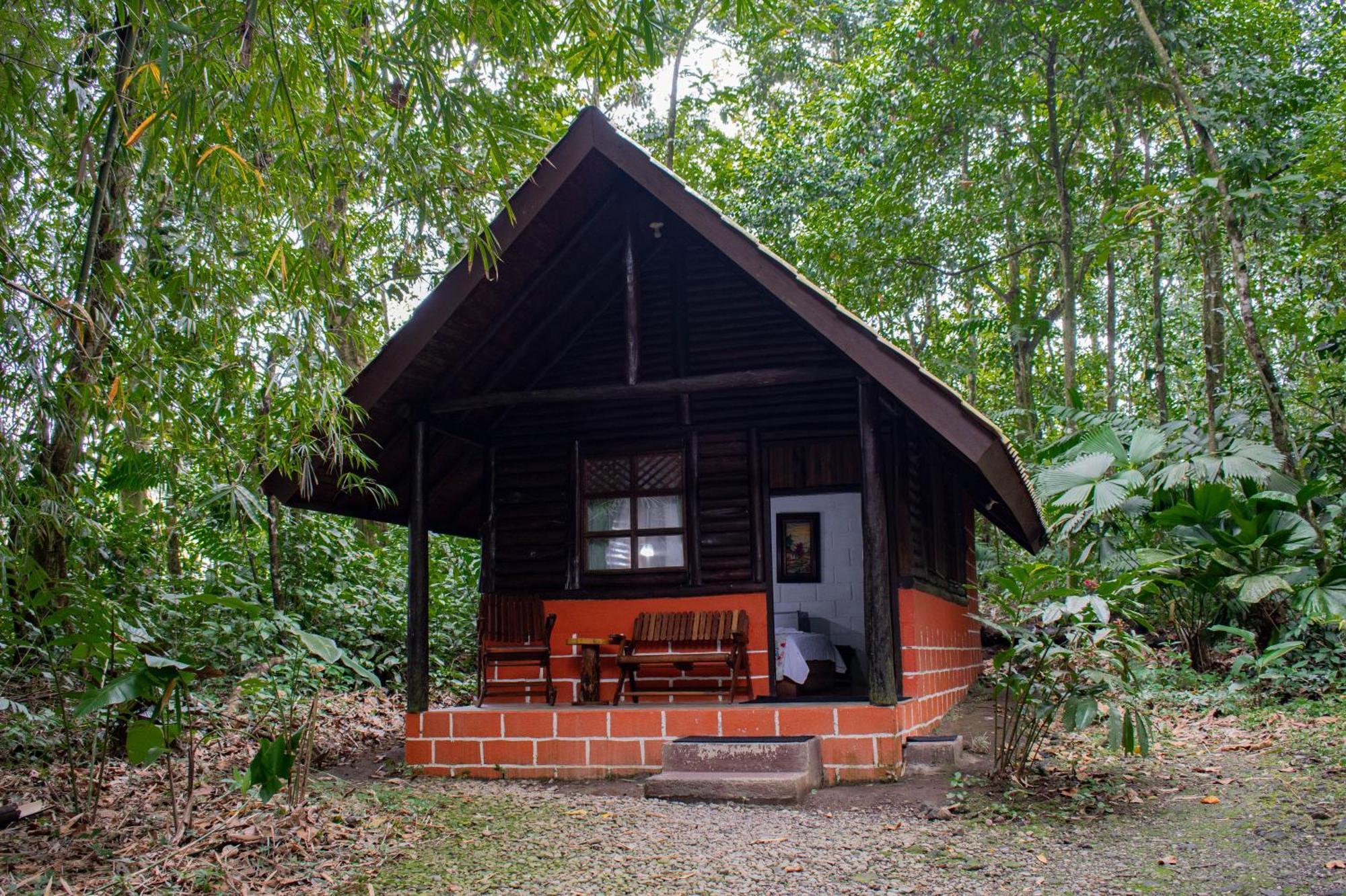 Arenal Oasis Eco Lodge & Wildlife Refuge La Fortuna Luaran gambar