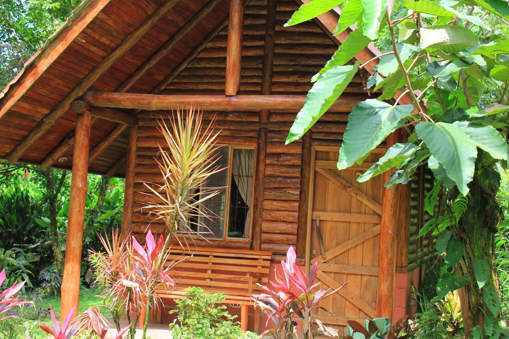 Arenal Oasis Eco Lodge & Wildlife Refuge La Fortuna Luaran gambar