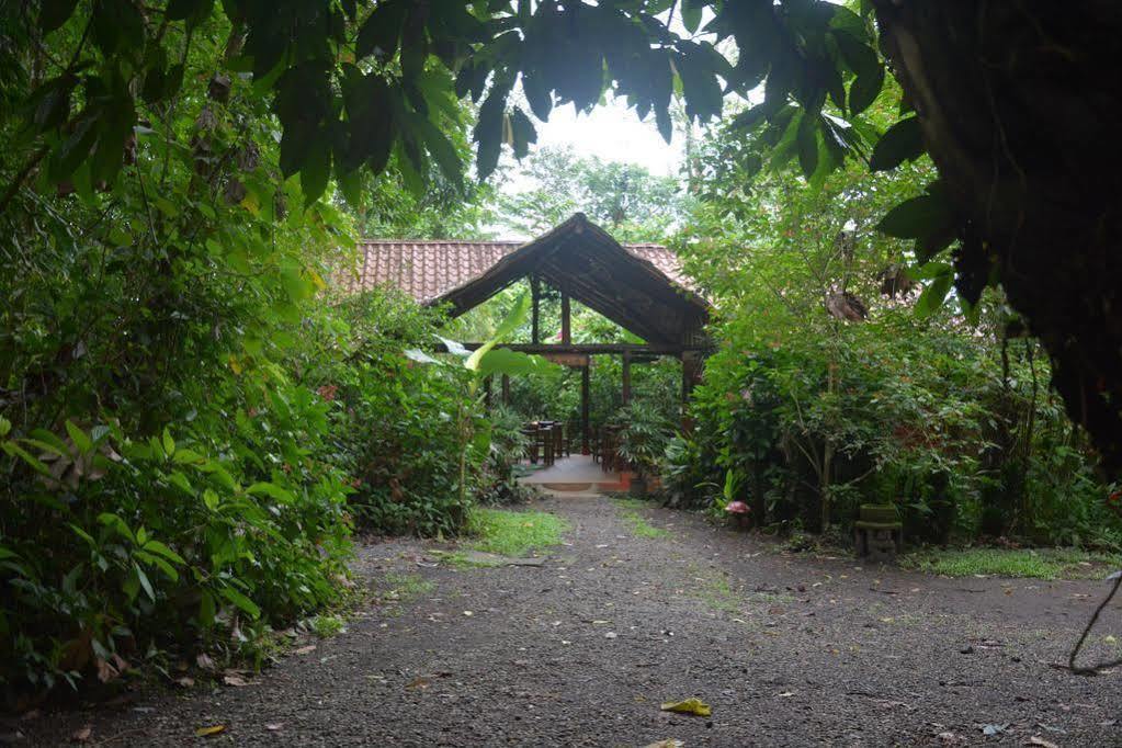Arenal Oasis Eco Lodge & Wildlife Refuge La Fortuna Luaran gambar